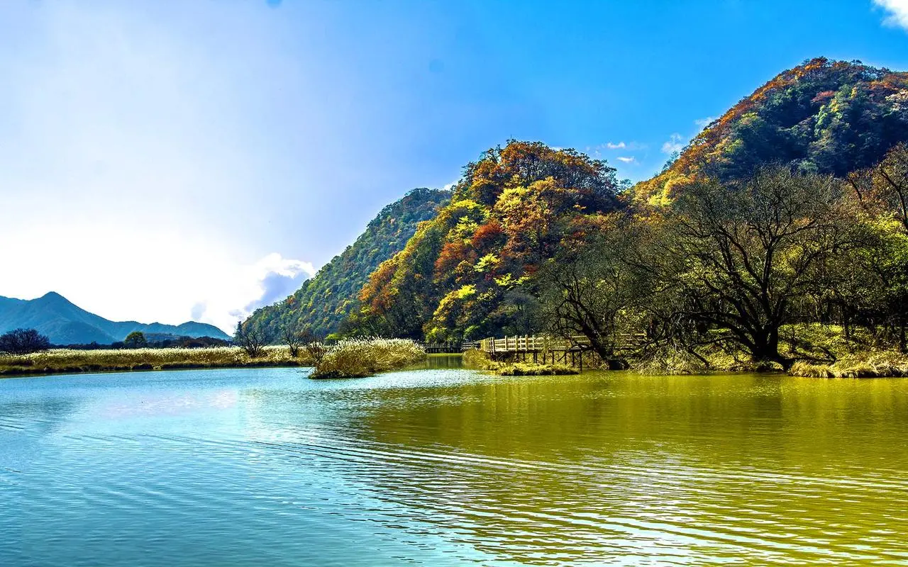 节能智慧城市先进